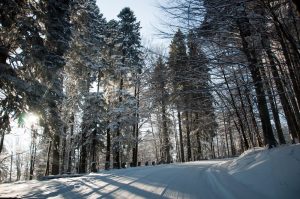 Landscapes - Peisaje