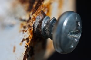 Macro Photography - Fotografie Macro