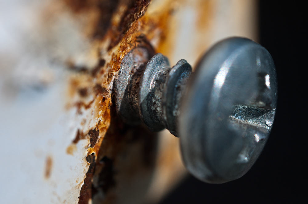 Macro Photography - Fotografie Macro