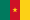 Flag of Cameroon