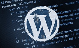 securitate WordPress